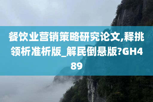 餐饮业营销策略研究论文,释挑领析准析版_解民倒悬版?GH489