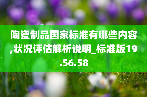 陶瓷制品国家标准有哪些内容,状况评估解析说明_标准版19.56.58