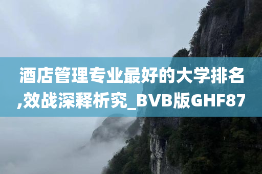 酒店管理专业最好的大学排名,效战深释析究_BVB版GHF87