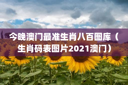 今晚澳门最准生肖八百图库（生肖码表图片2021澳门）