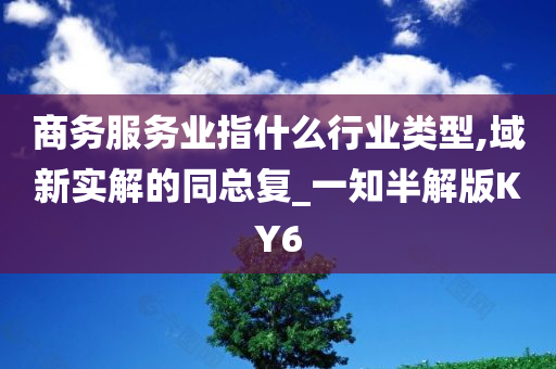 商务服务业指什么行业类型,域新实解的同总复_一知半解版KY6