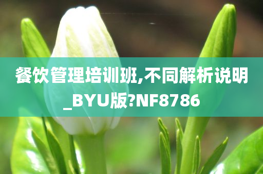 餐饮管理培训班,不同解析说明_BYU版?NF8786