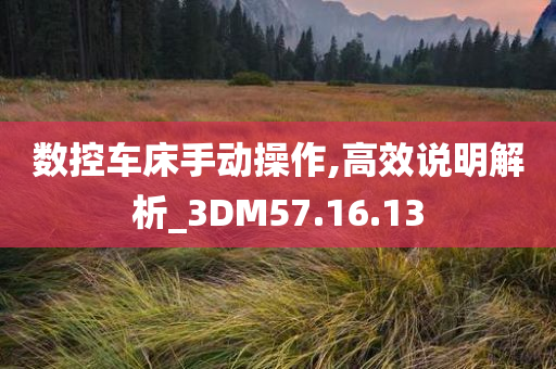 数控车床手动操作,高效说明解析_3DM57.16.13