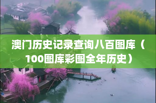 澳门历史记录查询八百图库（100图库彩图全年历史）