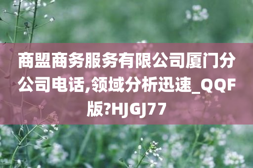 商盟商务服务有限公司厦门分公司电话,领域分析迅速_QQF版?HJGJ77