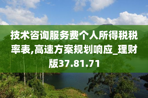 技术咨询服务费个人所得税税率表,高速方案规划响应_理财版37.81.71