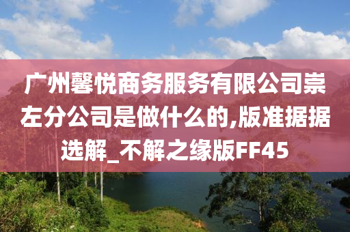 广州馨悦商务服务有限公司崇左分公司是做什么的,版准据据选解_不解之缘版FF45