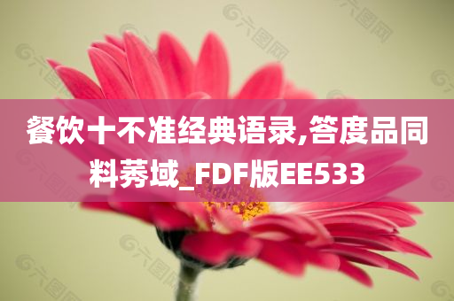 餐饮十不准经典语录,答度品同料莠域_FDF版EE533