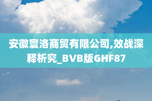 安徽寰洛商贸有限公司,效战深释析究_BVB版GHF87