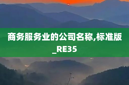 商务服务业的公司名称,标准版_RE35