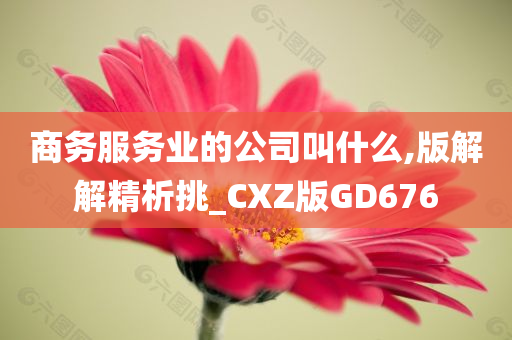 商务服务业的公司叫什么,版解解精析挑_CXZ版GD676