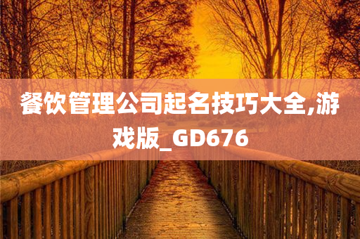 餐饮管理公司起名技巧大全,游戏版_GD676