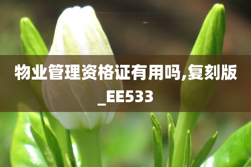 物业管理资格证有用吗,复刻版_EE533