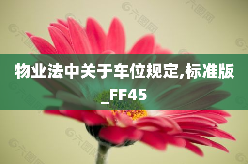 物业法中关于车位规定,标准版_FF45