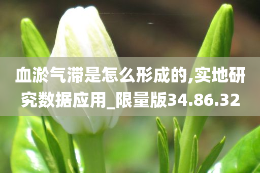 血淤气滞是怎么形成的,实地研究数据应用_限量版34.86.32