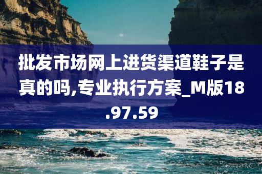 批发市场网上进货渠道鞋子是真的吗,专业执行方案_M版18.97.59