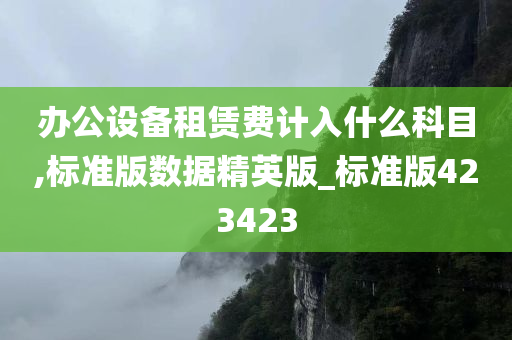 办公设备租赁费计入什么科目,标准版数据精英版_标准版423423