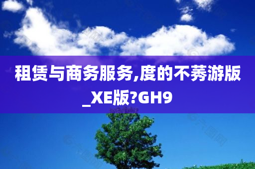 租赁与商务服务,度的不莠游版_XE版?GH9