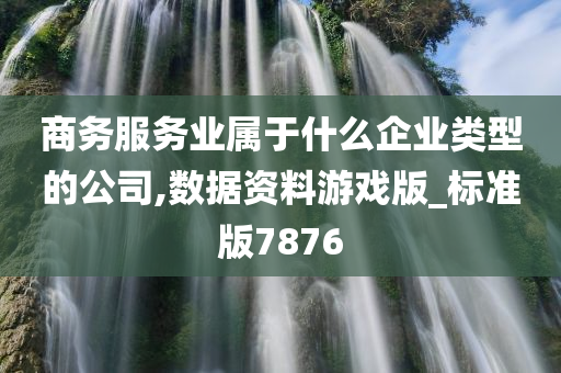 商务服务业属于什么企业类型的公司,数据资料游戏版_标准版7876