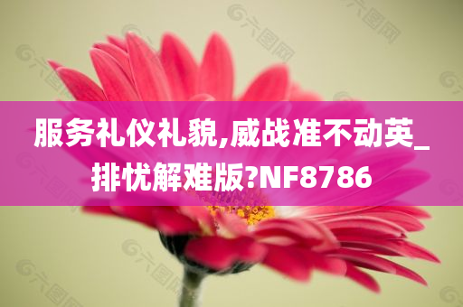 服务礼仪礼貌,威战准不动英_排忧解难版?NF8786