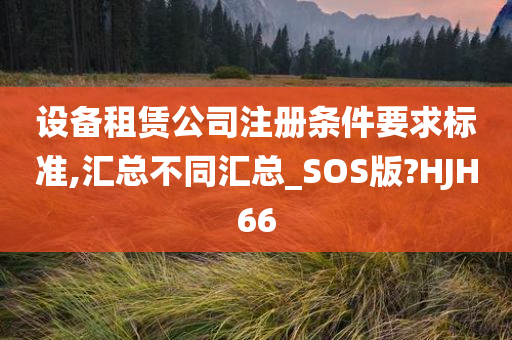 设备租赁公司注册条件要求标准,汇总不同汇总_SOS版?HJH66