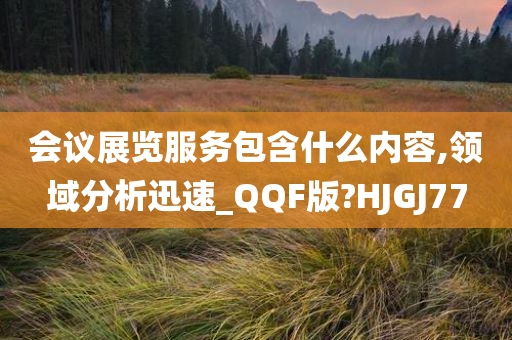 会议展览服务包含什么内容,领域分析迅速_QQF版?HJGJ77