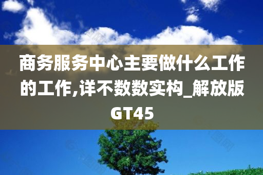 商务服务中心主要做什么工作的工作,详不数数实构_解放版GT45