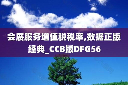 会展服务增值税税率,数据正版经典_CCB版DFG56