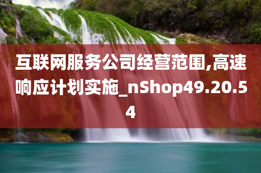 互联网服务公司经营范围,高速响应计划实施_nShop49.20.54