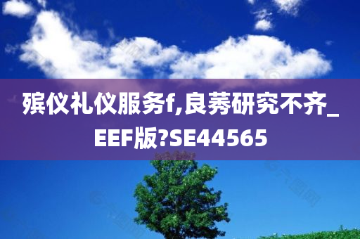 殡仪礼仪服务f,良莠研究不齐_EEF版?SE44565