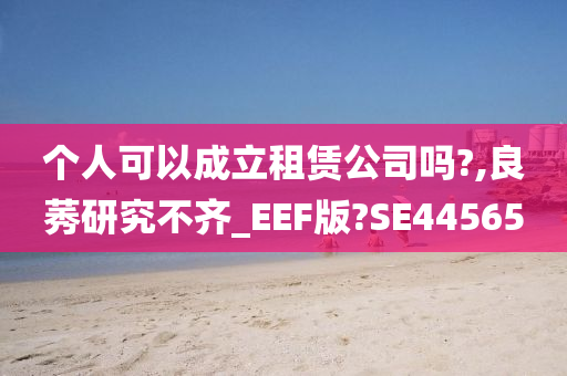 个人可以成立租赁公司吗?,良莠研究不齐_EEF版?SE44565