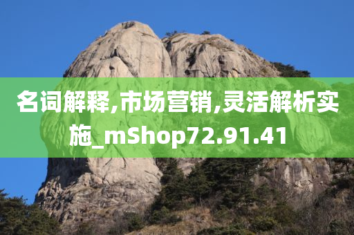 名词解释,市场营销,灵活解析实施_mShop72.91.41