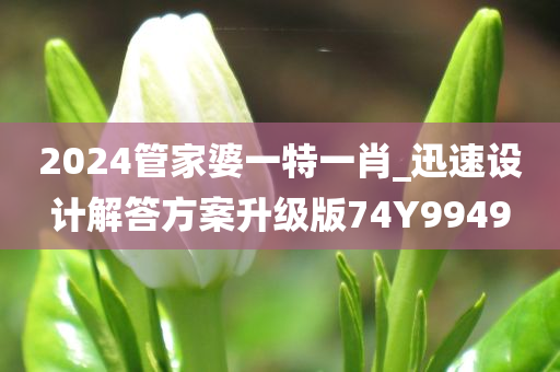 2024管家婆一特一肖_迅速设计解答方案升级版74Y9949