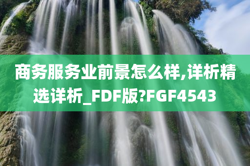 商务服务业前景怎么样,详析精选详析_FDF版?FGF4543