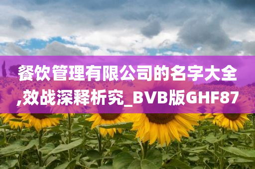 餐饮管理有限公司的名字大全,效战深释析究_BVB版GHF87