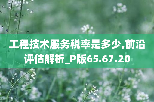 工程技术服务税率是多少,前沿评估解析_P版65.67.20