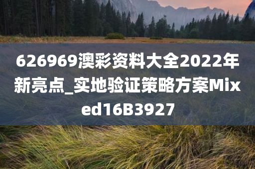 626969澳彩资料大全2022年新亮点_实地验证策略方案Mixed16B3927