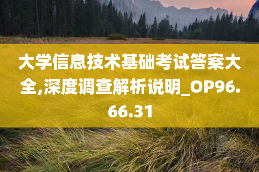 大学信息技术基础考试答案大全,深度调查解析说明_OP96.66.31