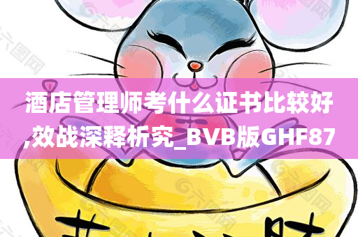 酒店管理师考什么证书比较好,效战深释析究_BVB版GHF87