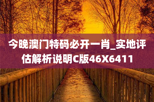 今晚澳门特码必开一肖_实地评估解析说明C版46X6411