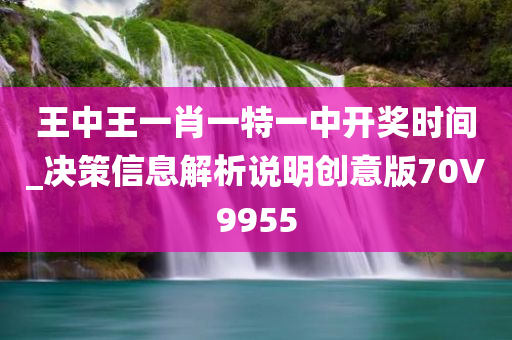 王中王一肖一特一中开奖时间_决策信息解析说明创意版70V9955