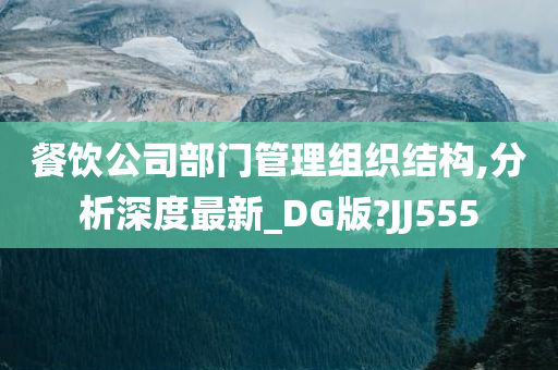 餐饮公司部门管理组织结构,分析深度最新_DG版?JJ555