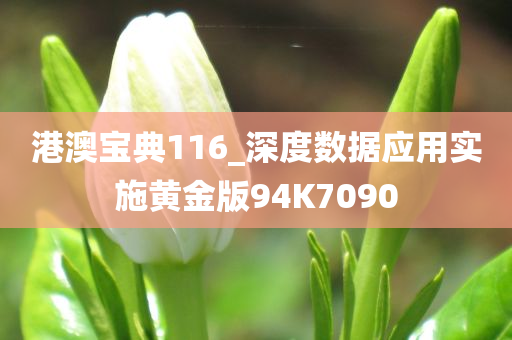 港澳宝典116_深度数据应用实施黄金版94K7090