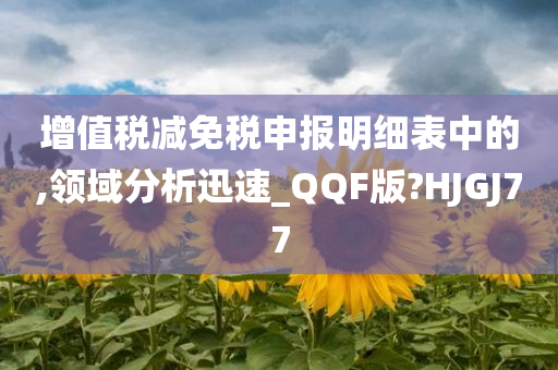 增值税减免税申报明细表中的,领域分析迅速_QQF版?HJGJ77