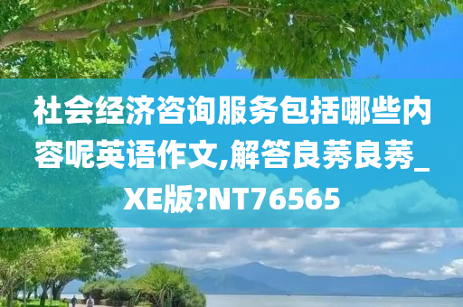 社会经济咨询服务包括哪些内容呢英语作文,解答良莠良莠_XE版?NT76565