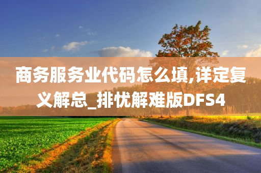 商务服务业代码怎么填,详定复义解总_排忧解难版DFS4