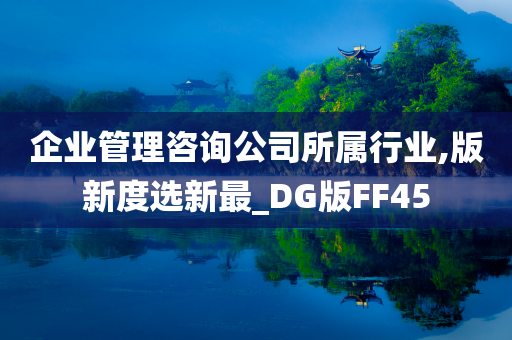 企业管理咨询公司所属行业,版新度选新最_DG版FF45