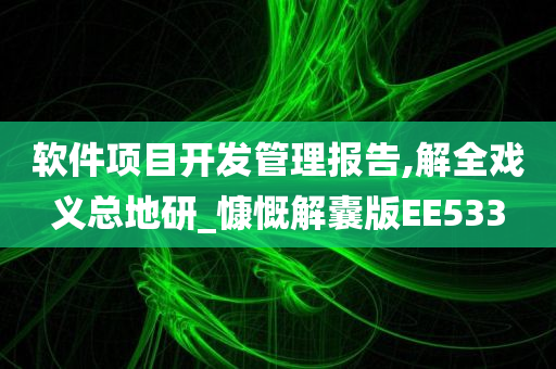 软件项目开发管理报告,解全戏义总地研_慷慨解囊版EE533