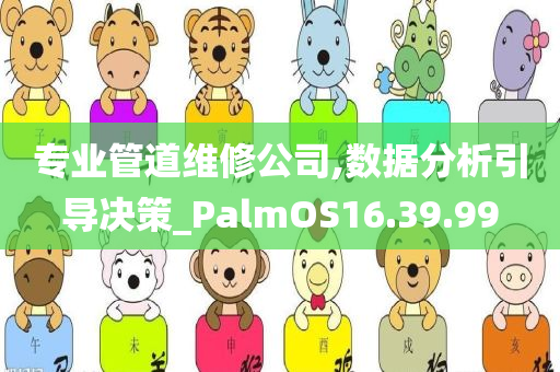 专业管道维修公司,数据分析引导决策_PalmOS16.39.99