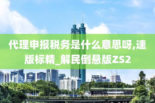 代理申报税务是什么意思呀,速版标精_解民倒悬版ZS2